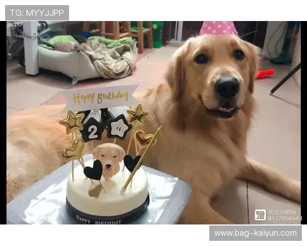 加时赛李弘权累到扶膝获球迷呐喊鼓励,称赢球一切值得 加时赛李弘权累到扶膝获球迷呐喊鼓励,称赢球一切值得