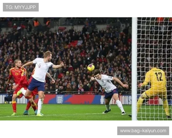 亚列姆丘克租借里昂填补进攻深度